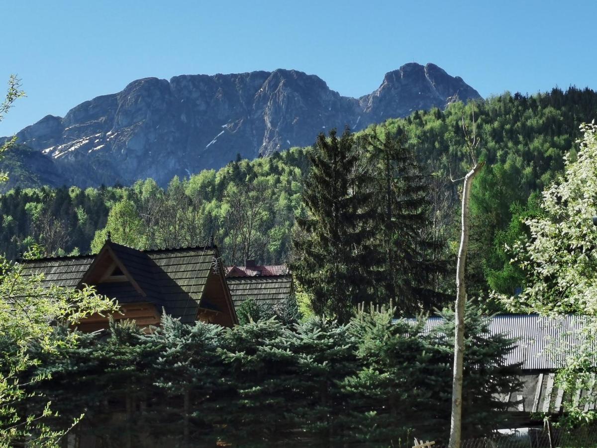 Willa Senator Zakopane Kültér fotó