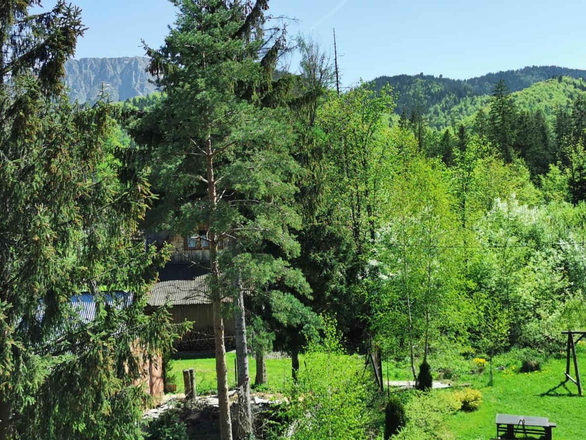 Willa Senator Zakopane Kültér fotó